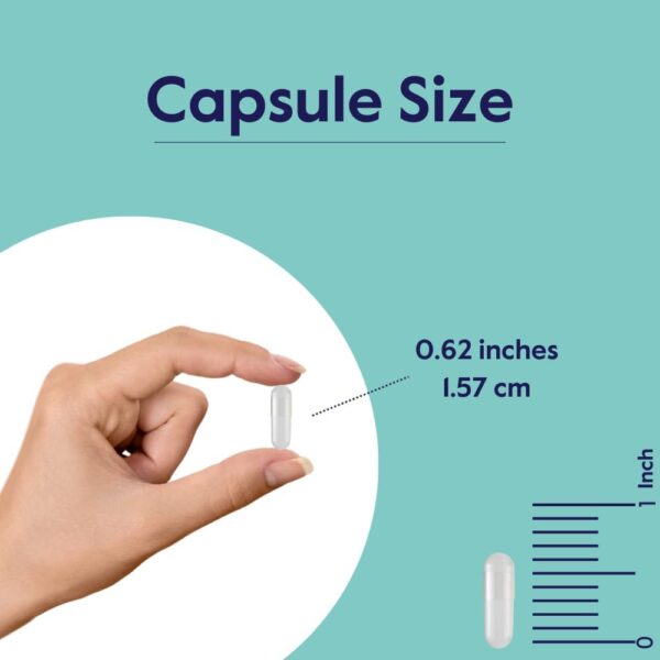 BESTVITE - 7-Keto 100mg DHEA – 60 Cápsulas Vegetais Sem Estearatos - Image 5
