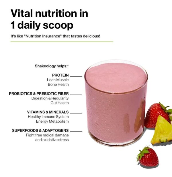bodi - Shakeology Amostra Pack Vegan Protein Powder, Shake de Proteína Superfood sem Glúten com Supergreens, Probióticos para Saúde Intestinal, Adaptógenos, Vitaminas, 16g de Proteína Vegetal por Porção - Image 3